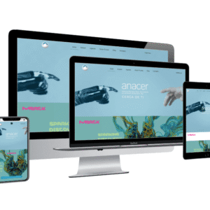 Desarrollo web: anacer.com